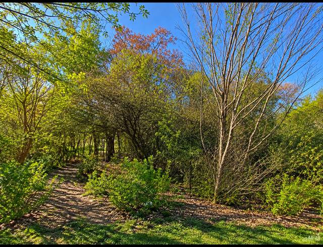 1,672M² VACANT LAND FOR SALE IN ROTHDENE